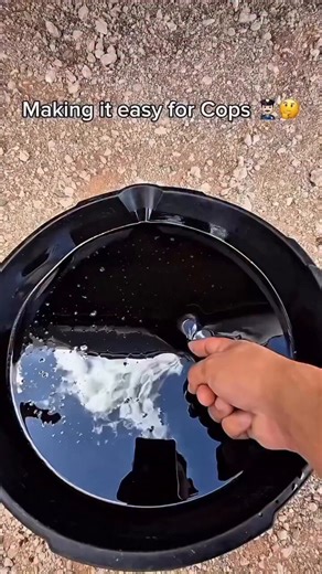 Use this one simple trick to avoid fines from speeding cameras (by going to jail instead)