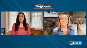 Socializing your puppy is key for their confidence. Master Trainer Kathy Santo shares her expert tips. | AKCtv