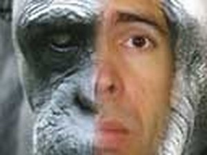 Are Humanzees Possible?