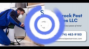 Shamrockpestservices.com: Pest Control Services Massachusetts | Pest Control Franklin