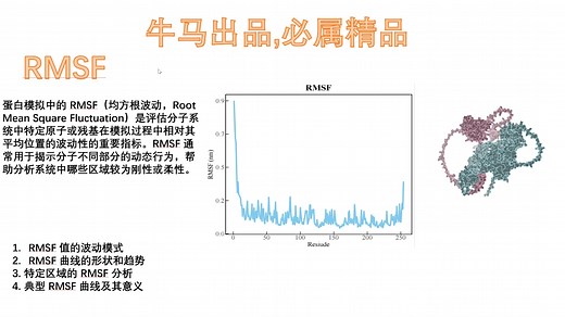 蛋白模拟指标解读：RMSF