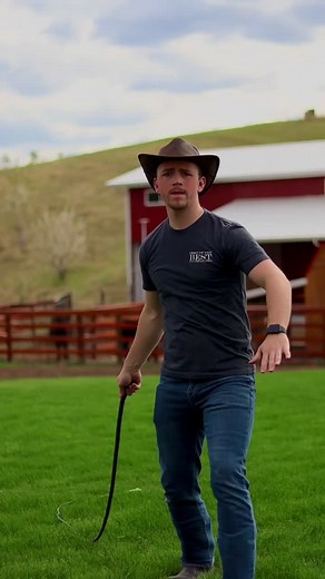 Testing out a 6ft snakewhip! #whipcracking #farm #cow #whip #farmlife | whips