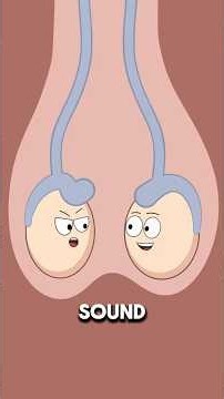 What Happens During Testicular Torsion? Emergency Surgery Explained