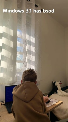 Windows 3.1 has bsod