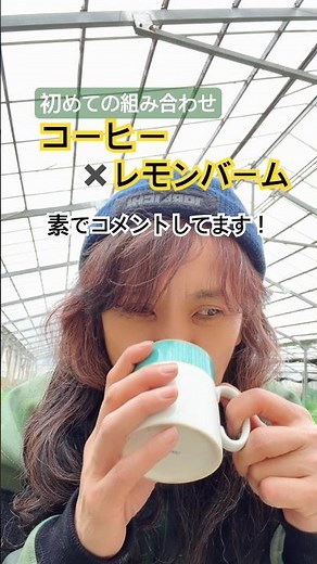 【コーヒー✖️レモンバーム】凄すぎた！最強の組み合わせ⁉️#ハーブ番長 #ハーブ農家 #コーヒー #レモンバーム