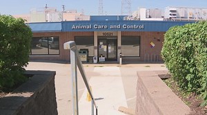 Animal Protective Adoption Center slated to operate pet adoption services for St. Louis County