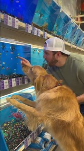 Christmas shopping with my best buddy.