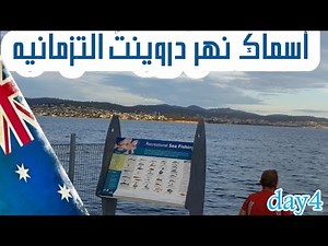 جوله في العاصمه هوبارت رحله تزمانيا 🇭🇲 (الجزء4)