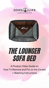 How to Wash & Reassemble Your Vintage Lounger Bed Washing your dog’s bed has never been this easy! Our Vintage Lounger beds come with 100% removable covers – making clean-ups quick and hassle-free. Watch this step-by-step guide on how to unzip, remove the covers, and put everything back together like a pro. Because a fresh bed = a happy pup! Available in both Summer & Winter versions. #dogslifesa #dogbed | Dog's Life | Facebook