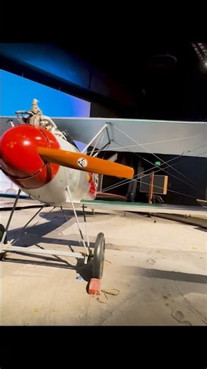 Albatros D Va Reproduction
