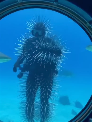 An inaccessible dinner