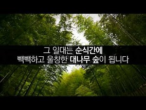 태신자작정 동기부여 영상