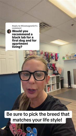 Choosing the Right Dog Breed for Your Lifestyle