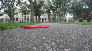 The race of the slithering robots