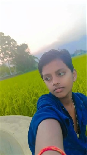 #blogger
