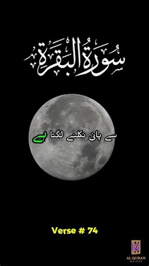 A Healing Message from Allah 🤍 | Surah Al-Baqarah Translation 🕋 #Quran