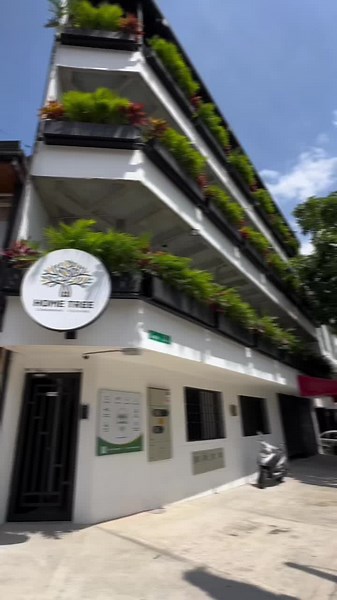 Descubre Coworking HOME TREE en 9 segundos