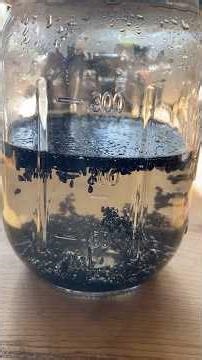 Seed Hack! #gardening #germinatingseeds #hack #homegrownfood