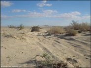 Ocotillo Wells SVRA