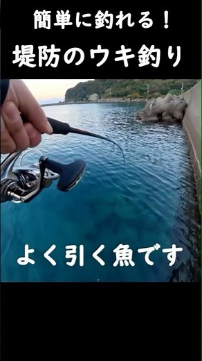 初心者でも釣れる！堤防からのウキ釣り#shorts #fishing #釣り #海釣り