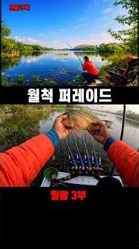 월척 퍼레이드 월랑 낚시터 3부 #fishing #붕어낚시