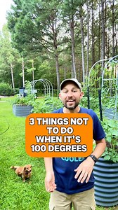 🌡️What’s your top gardening tip for surviving the heat?☀️👇It’s been pushing 100 degrees lately 🥵 and if you’re still out in the garden, here are 3️⃣ things you should not be doing:🚫 Don’t fertilize — your plants are already stressed! Adding fertilizer now is like forcing someone to run a marathon with no water 💦🚫 Don’t water in the middle of the day — most of it evaporates 🌬️ and evening watering can invite fungal issues if the leaves stay wet 🌿🚫 Don’t prune heavily — those older leaves