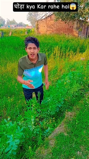 ￼ घोड़ा kya Kar rahe hai😱🤣😮🙏#shivankumar777 #ytshorts #viral #realfools #like #funny #video #vlog🤣😮🙏