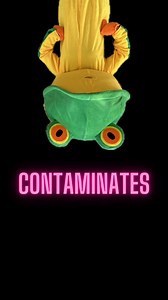 5.5K views · 65 reactions | Do pollutants harm amphibians?...