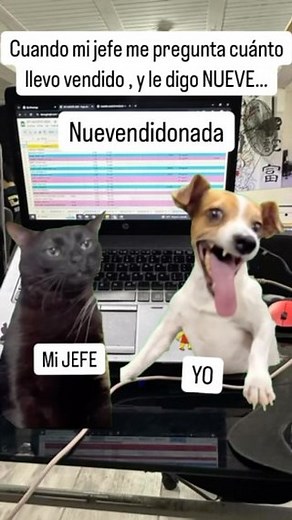 1.1M views · 73K reactions | Etiqueta a tus compañeros de trabajo, los leemos 來藍藍 #remember #dia #dogoftheday #diomedezdiaz #domingo#viraltiktok#diomedesdiaz ##pereira #moda #temu #atuendo #ropa #constitution #la #lacasadelosfamosos #despecho#humor #caliescali #ventas #medellin #españa #argentina #bogota #usa #panama #venezuela #republicadominicana #puertorico | Stilo BJ | Facebook