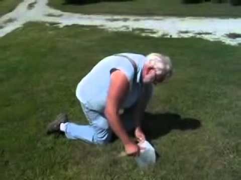 Get Rid of That Gopher Problem With a Gallon Jug