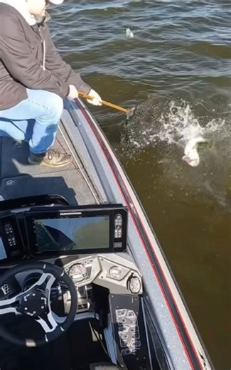 This fish gave me a second chance – bass hammering crankbaits!