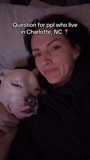 Exploring Charlotte Nightlife: What Happened to the Clurb?