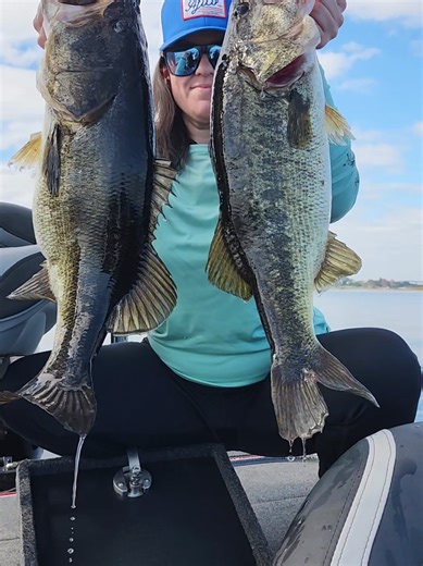 Can you tell the difference between a black bass and a large mouth 🤔? call 407-865-0911 to book your next #Guided #bass #fishing trip #orlando #florida @MakinBigBassMemories support small businesses @Hags Baits @Loose Lips Lures @MONSTERBASS @GRANDEBASS