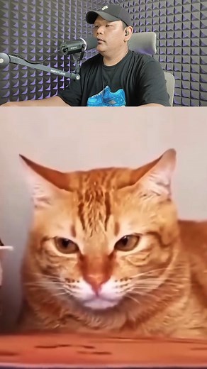 661K views · 58K reactions | The best refleks  | Salmon Parsaoran Lubis | Facebook