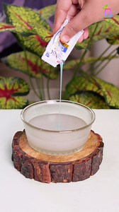 9.5M views · 8.4K reactions | Homemade Shampoo 林 For Hair Fall ||...