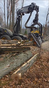 13K views · 46 reactions | Watch this mean ported 572xp Husqvarna work up logs and than the Ponsse Ergo with its GB Harvester bar from Wallingford's Inc. Works up the rest of this big Maple top! | Logger Mack | Facebook