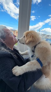 3M views · 117K reactions | Foster puppy was afraid of doorways and...