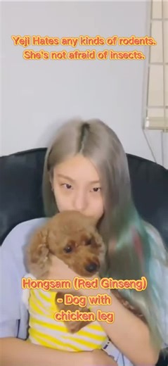 Petzy 💕 #kpop #Midzy #있지 #itzyofficial #itzy #cute #yeji #ryujin #yuna #chaeryeong #lia #dog #cat #pet #petlovers #animals #doglovers #catlovers