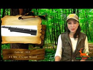 .303 Enfield Scope Mount Review