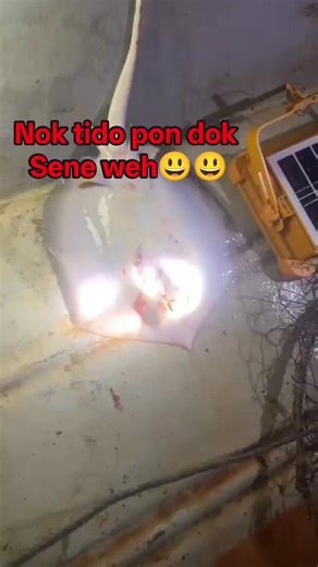 Adoiii,sdp weh set dio..kito ni nok tido pon dok sene nih😅😅😅 #kredit #video #santai | Azly Arrifin
