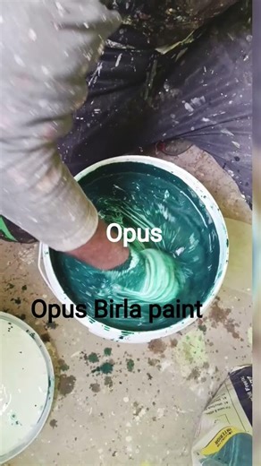 Opus Birla paint is colour ka code 6065 #opus #birla #p #paintindia #exteriorprimers #decorativefini