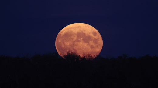 How to see Saturday's Hunter's Moon partial lunar eclipse - The Weather Network