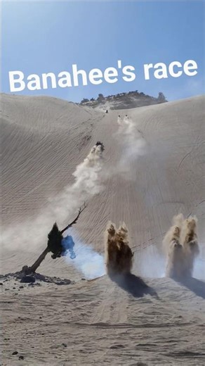 Banshee's race up Sandmountain #sanddunes #Banshee #dirtbike Sandrails