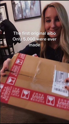 Introducing the Original Aibo ERS 110 - A Review