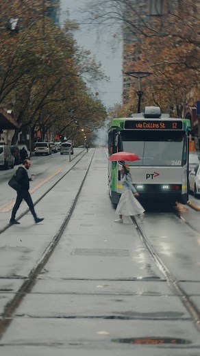 Melbourne City Life: Coffee, Trams, and Rain