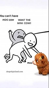 Me and my man whenever i saw a mini cow...😂 | Cow Loving Things