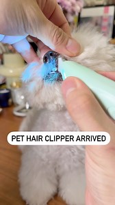 I need this hair clipper 🥰 | Dogs Pets Puppies