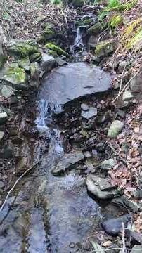 Forest Stream Waterfall – 4K 60fps ASMR Flowing Water