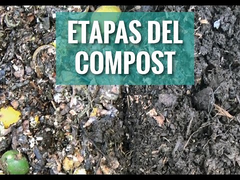 ETAPAS DEL COMPOST | Distingue entre Humus, Compost y Pre-compost