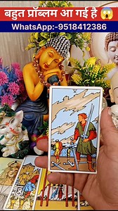 6.2K views · 441 reactions | WhatsApp +91 9518412386 . . . ....